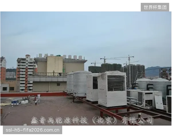 对进口品牌的路径依赖，正在削弱国内企业在游泳馆高端热泵压缩机与控制器领域的核心研发动力